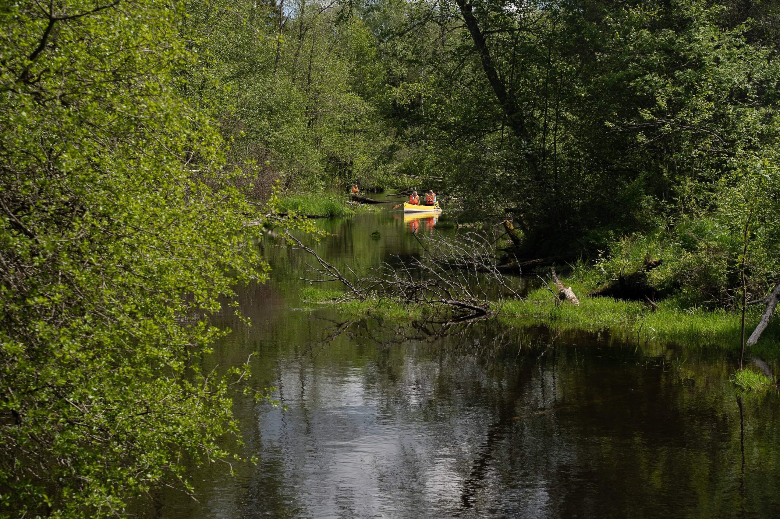 Canoe Trip on The Esna River Kanuumatk Esna jõel